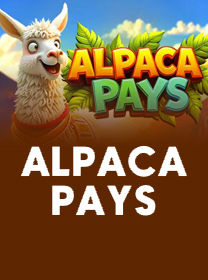 Alpaca Pays Terbaru untuk Pemain: Review dan Panduan game cover