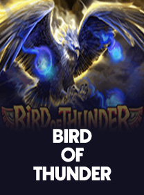Informasi Lengkap Game Bird of Thunder Terbaru banner
